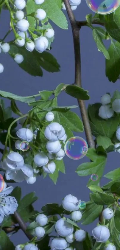 Wallpaper with white blossoms and colorful bubbles on green branches.