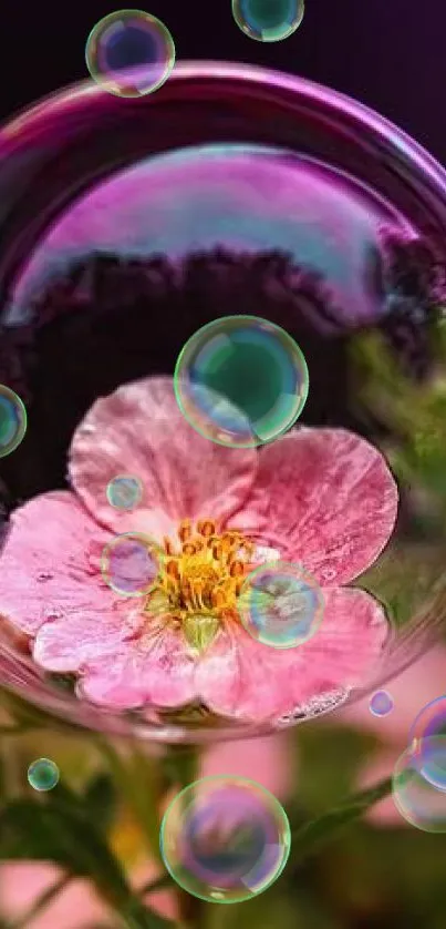 A vibrant pink flower enclosed in a bubble with a lush green background.