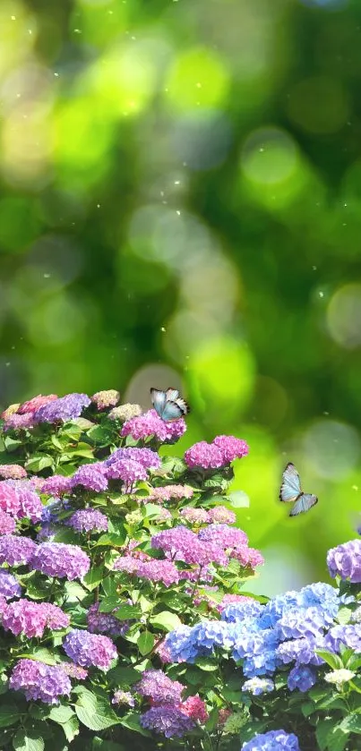 Vibrant hydrangeas and butterflies in a green bokeh garden scene.