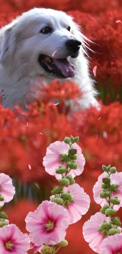 Joyful dog surrounded by red and pink flowers.