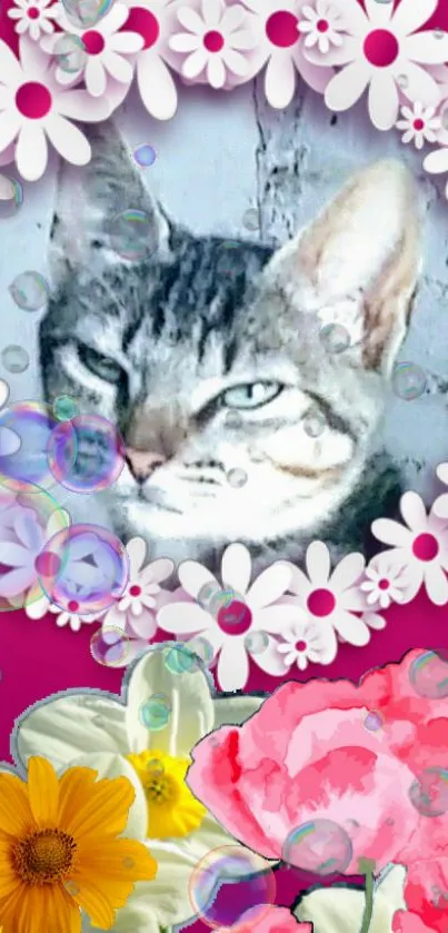 Cat with floral frame and pink flower background wallpaper.