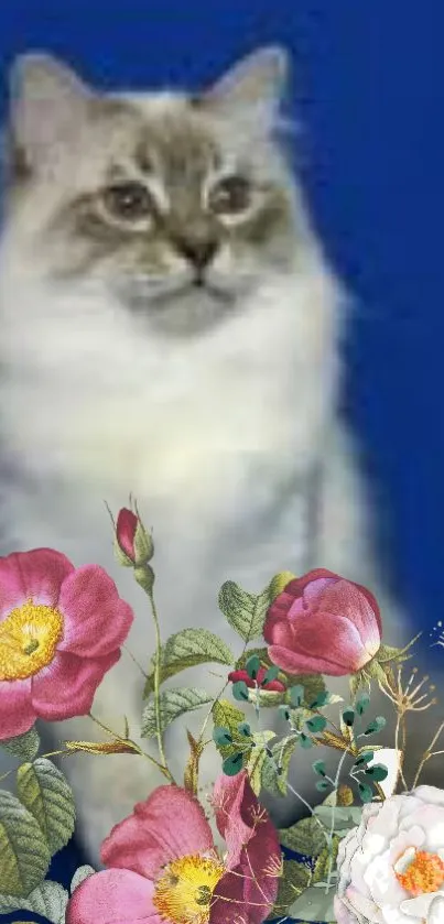 Fluffy cat with flowers on blue backdrop wallpaper.