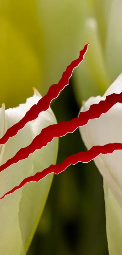 Floral wallpaper with red claw scratch design.