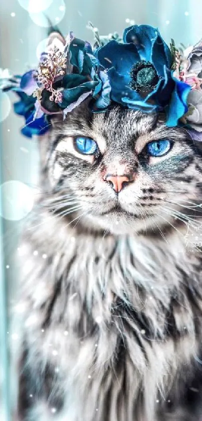 Cat with blue floral crown gazing through window.