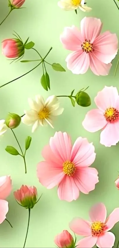 Pink and white floral wallpaper on green.