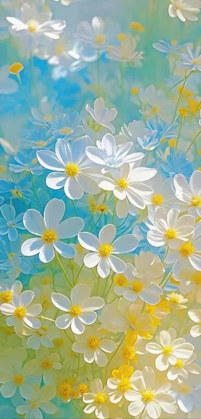 Vibrant mobile wallpaper with white flowers on blue background.