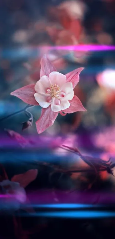 Vivid pink flower with blue light effects on wallpaper.