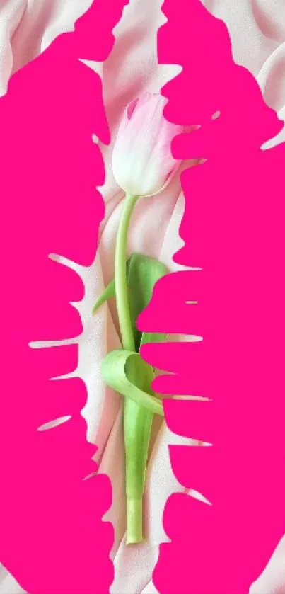 Elegant tulip wallpaper with vibrant accents.
