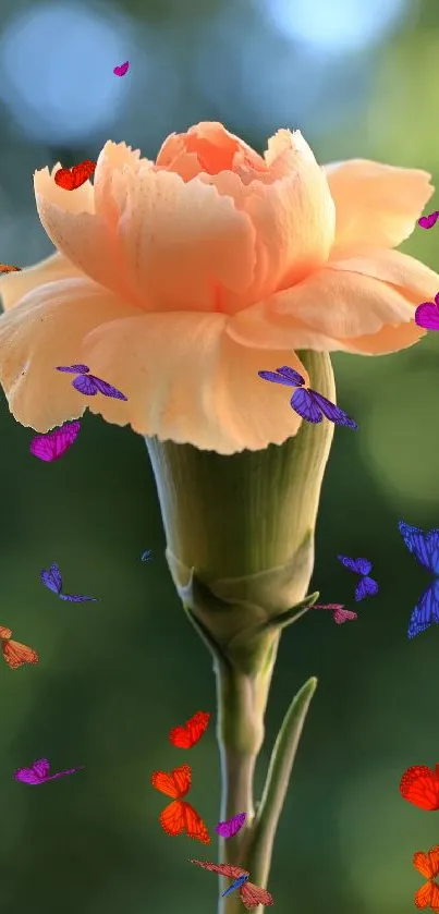 Peach carnation with vibrant butterflies on a green blurred background.