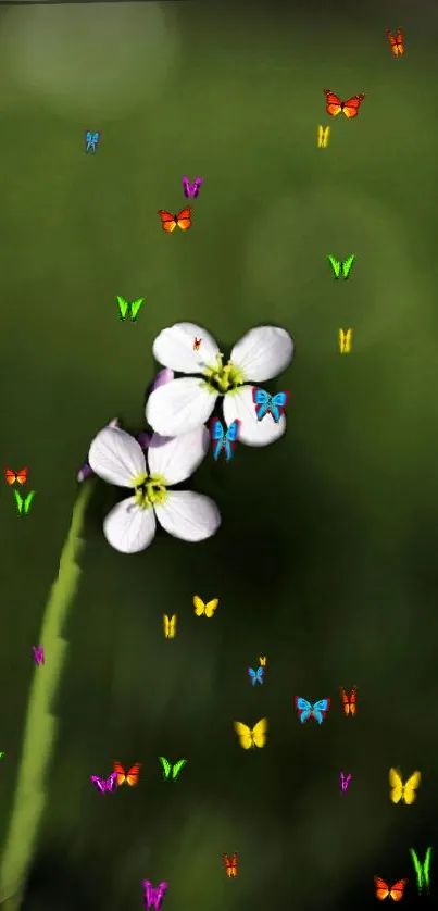 A serene green wallpaper with white flowers and colorful butterflies.