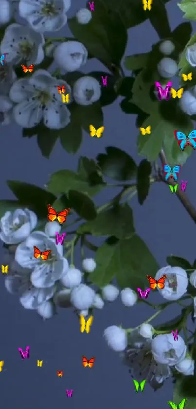 Beautiful white flowers and colorful butterflies on dark background.