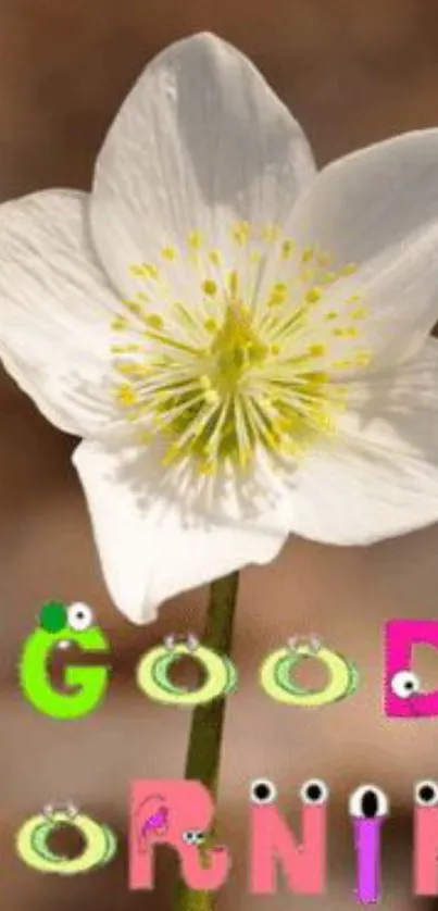 White flower with colorful good morning text on a brown background.