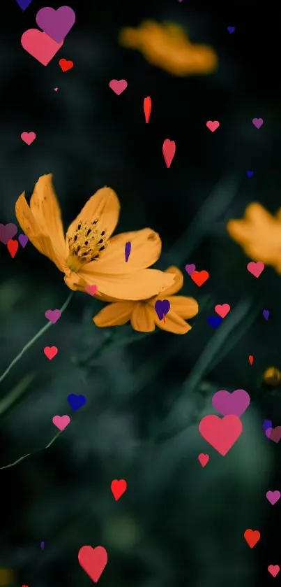 Yellow flowers with colorful hearts on a dark background.