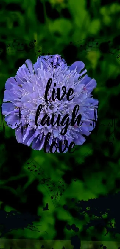 Purple flower with 'live laugh love' quote on green background.