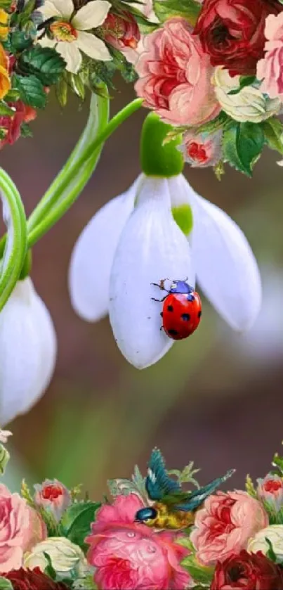 Vibrant floral phone wallpaper with ladybug and snowdrop.