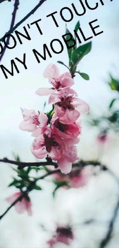 Floral wallpaper with pink blossoms and 'Don't Touch' text.