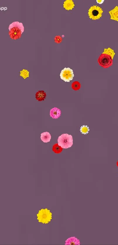 Colorful floral wallpaper with pink, yellow, and red flowers on purple background.