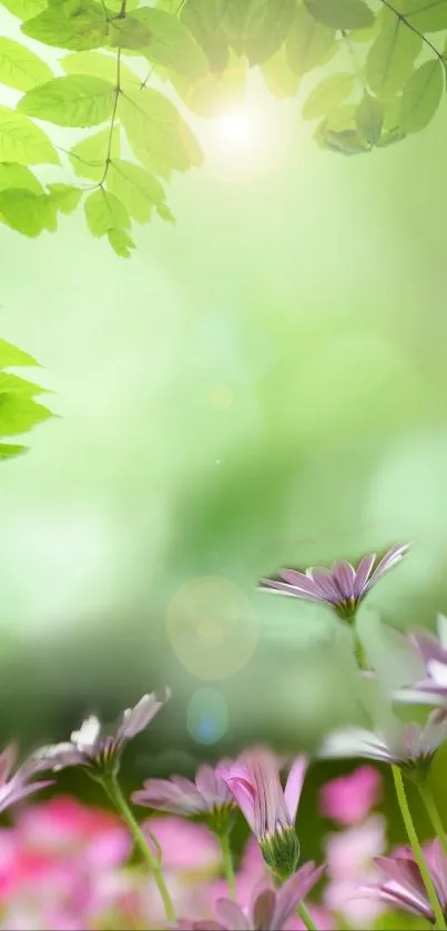 Floral wallpaper with violet flowers and green leaves in a sunlit nature scene.