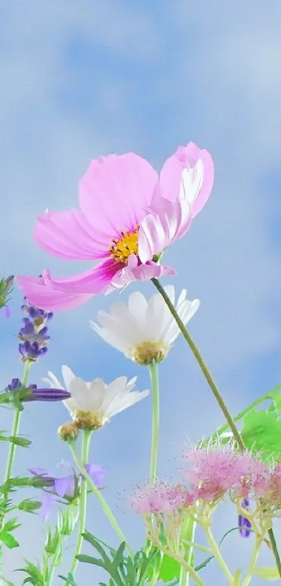Pastel floral wallpaper with blue sky and colorful wildflowers.