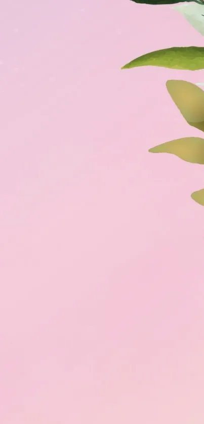 Pink floral phone wallpaper with green leaves.