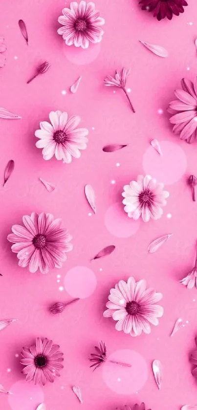 Vibrant pink background with daisies and petals.