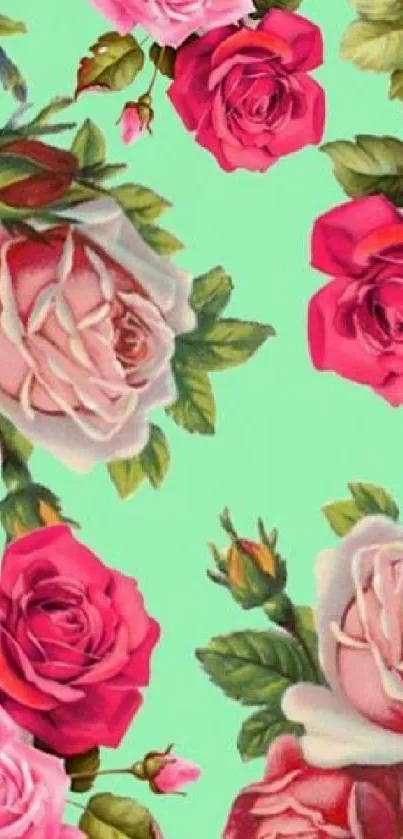 Vibrant roses against mint green background, floral mobile wallpaper.