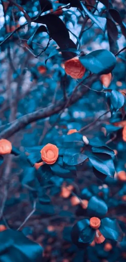 Orange flowers with blue leaves mobile wallpaper.