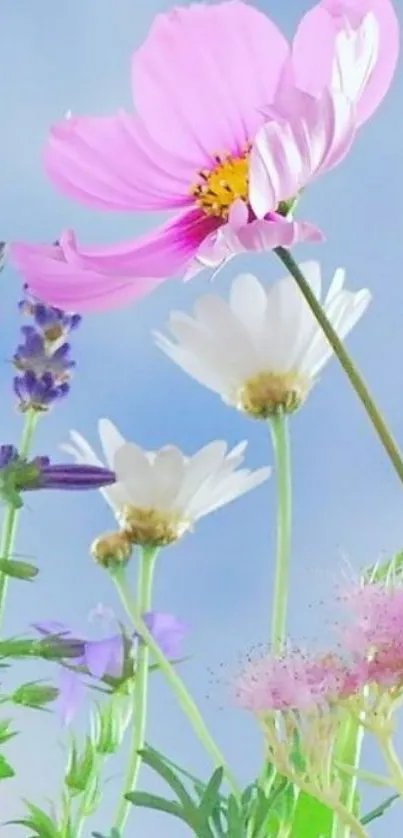 Colorful flowers against a blue sky.