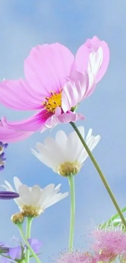 Colorful flowers under a blue sky wallpaper.