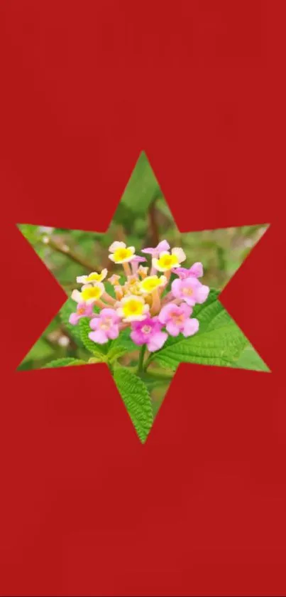 Red wallpaper with a floral star cutout design.