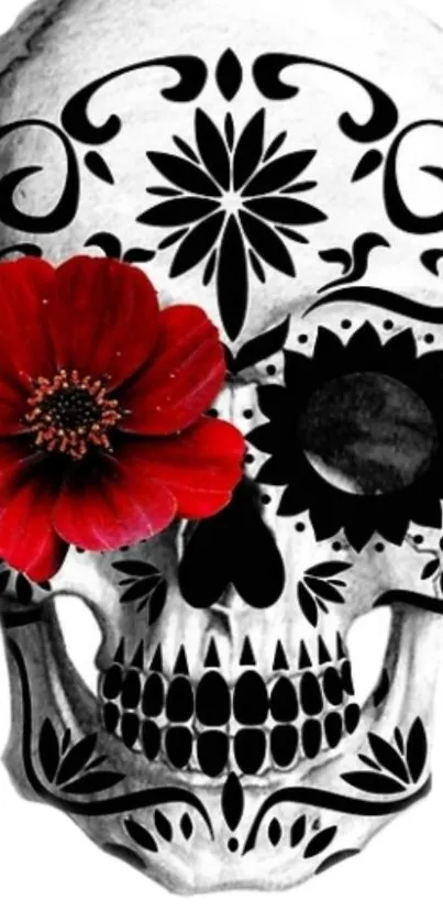 Artistic sugar skull with red flower for a unique wallpaper.