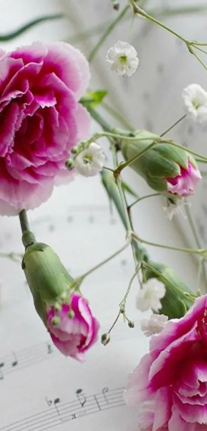 Pink carnations on sheet music wallpaper.