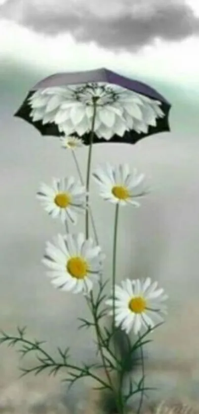 Daisies beneath umbrella with cloudy sky.