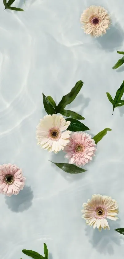 Delicate flowers floating on clear water with green leaves.