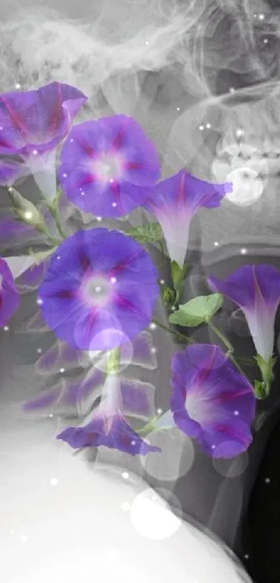 Purple morning glories overlay on a skull x-ray art.