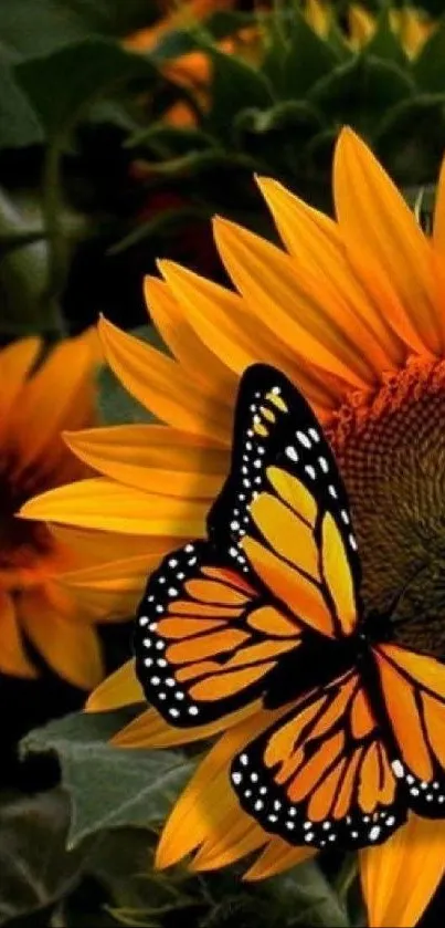 Flower Butterfly Pollinator Live Wallpaper