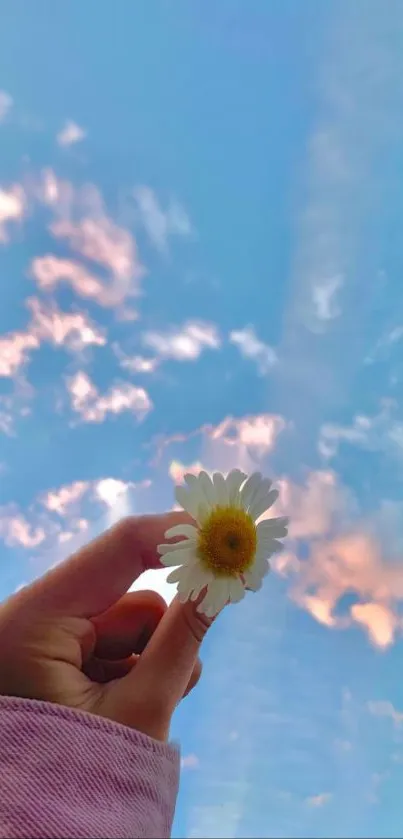 Flower Cloud Sky Live Wallpaper