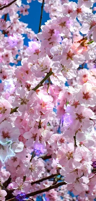 cute  Live Wallpaper