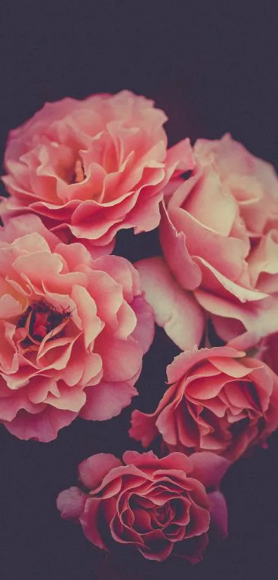 Flower Orange Plant Live Wallpaper