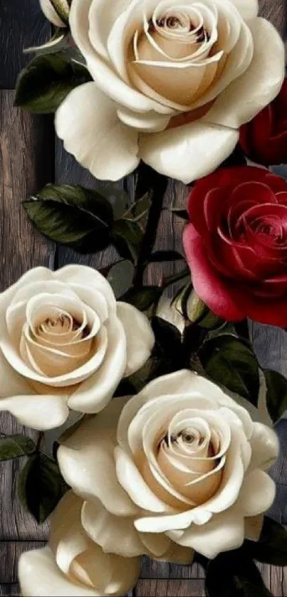 Flower Petal Garden Roses Live Wallpaper