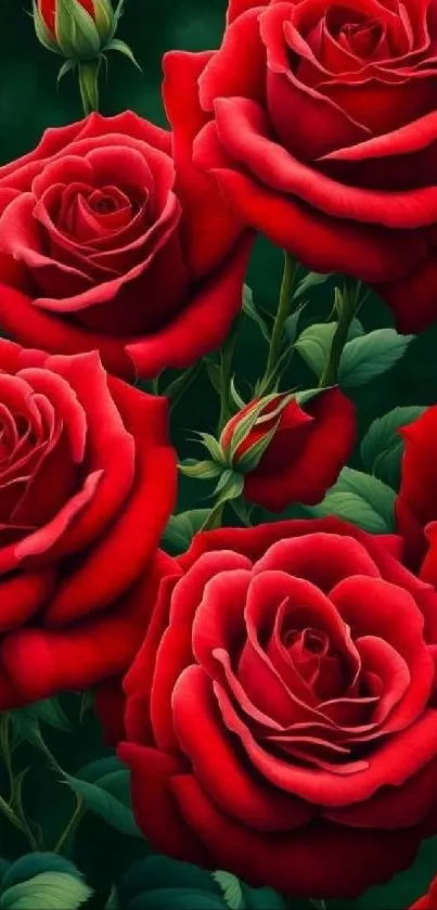 Flower Petal Garden Roses Live Wallpaper