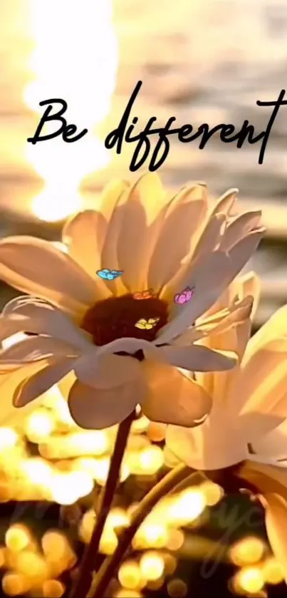 Flower Petal Happiness Live Wallpaper