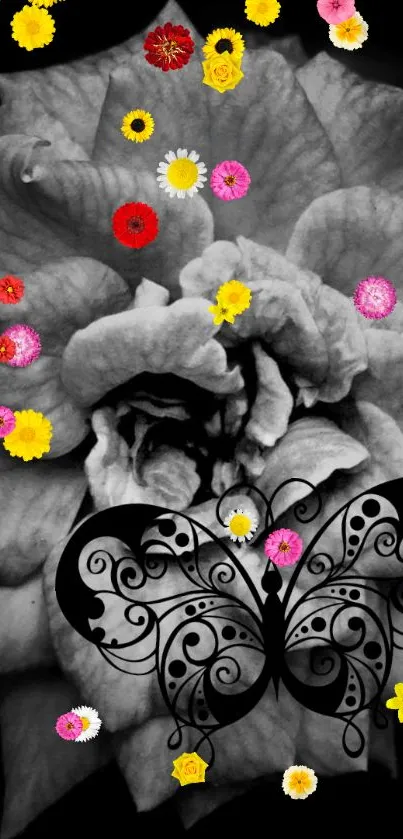 Flower Petal Organism Live Wallpaper
