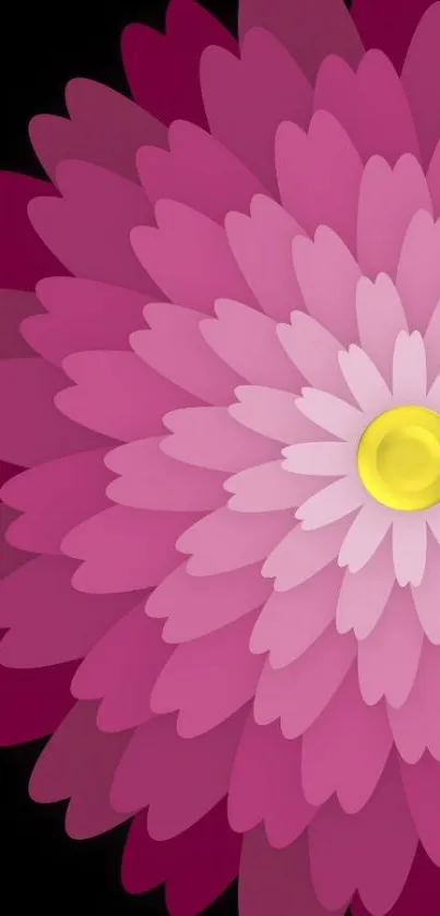 Flower Petal Pink Live Wallpaper