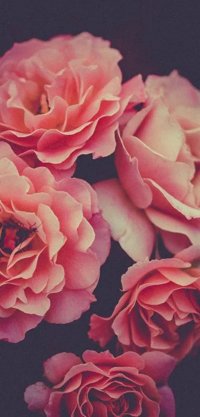 Flower Petal Pink Live Wallpaper