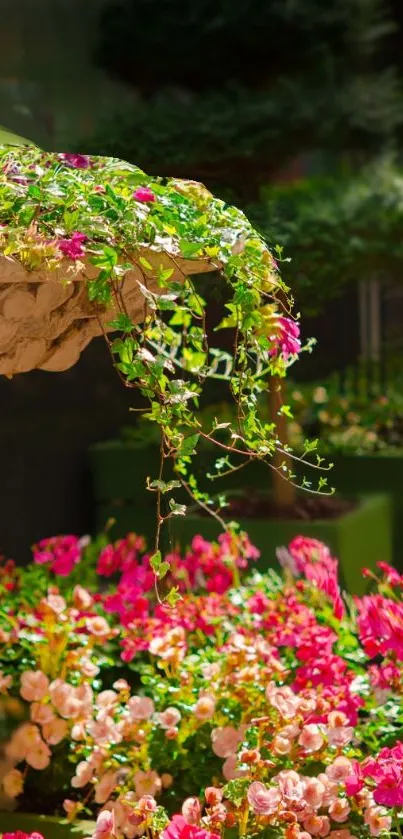 classic flo Live Wallpaper