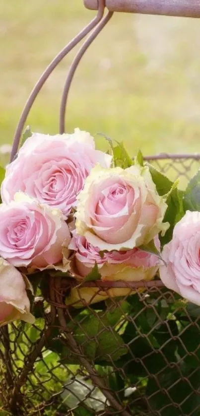 Flower Plant Bouquet Live Wallpaper