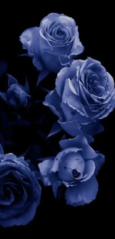 Flower Plant Bouquet Live Wallpaper