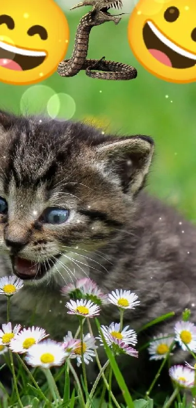 Flower Plant Cat Live Wallpaper