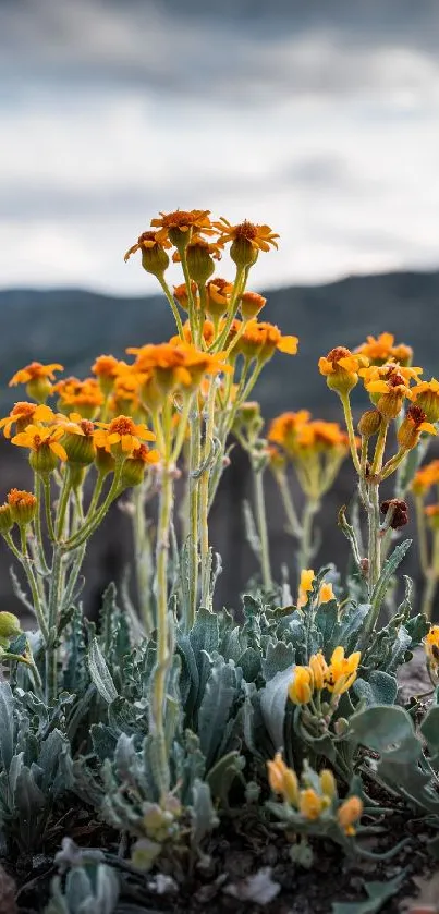 Flower Plant Cloud Live Wallpaper